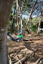Ruta Maya 01850