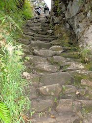 11_Inca_trail_167